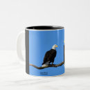 Recherche de aigle chauve tasses Aigles