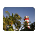Suche nach island magnete Palme