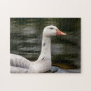 Suche nach gans puzzle Wasservögel