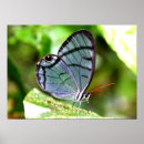 Suche nach transparent poster Natur