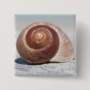 Suche nach seashell buttons Meer