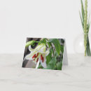 Recherche de mensonge photographie Floral