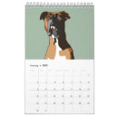 Suche nach um boxen kalender Welpe