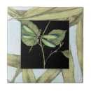 Recherche de libellule carreaux Insectes