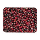 Recherche de baie magnets Asie