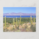 Suche nach baja california poster Rob tilley