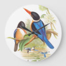 Recherche de martinique horloges Oiseaux