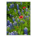 Recherche de couverture indienne cartes postales Rouge