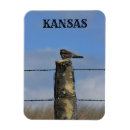 Suche nach schlaf magnete Bunt