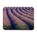 Suche nach provence magnete Feld