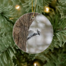 Suche nach vogelschmuck Urlaub