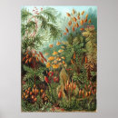 Suche nach garden poster Vintage