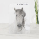 Recherche de chevaux noël cartes Jument