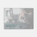 Suche nach tabbykatze poster Hauskatze