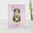 Suche nach sennenhund karten Welpe