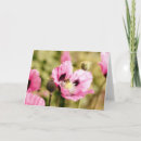 Suche nach mohnblüte karten Rosa