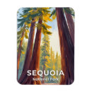 Suche nach sequoia magnete Kalifornien