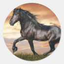 Recherche de beaux de cheval autocollants Chevaux