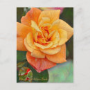 Suche nach dieser ist ann postkarten Blume