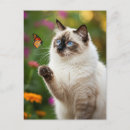 Recherche de yeux cartes postales Blanc