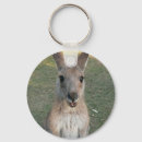 Recherche de kangourous porteclés L'australie