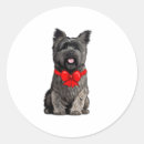 Recherche de terrier cairn autocollants Noël