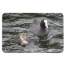 Recherche de mona magnets Mignon