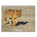 Recherche de chemise de lion Grand chat