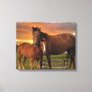 Recherche de poney impressions sur toile Animaux