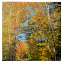 Suche nach hampshire fliesen Herbst