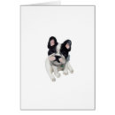 Recherche de bulldoggue Bouledogue