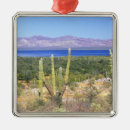 Suche nach baja california ornamente Mexiko