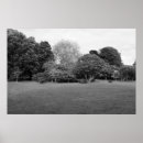 Recherche de magie photographie Noir et blanc
