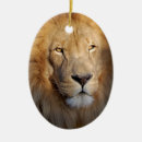 Suche nach der löwe ornamente König des dschungels