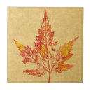 Recherche de copies de nature Feuille