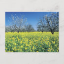 Recherche de moutarde cartes postales Jaune