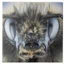 Recherche de bourdon carreaux Animaux