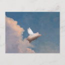 Recherche de porc cartes postales Cochon volant