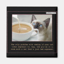 Recherche de café express magnets Drôle