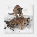 Recherche de cubes magnets Animal