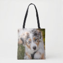 Suche nach australian shepherd taschen Welpe