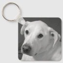 Recherche de âne porteclés Gris