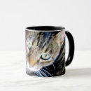 Recherche de yeux verts tasses Animaux