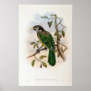 Suche nach john gould poster Vintag