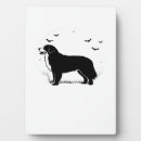 Suche nach bern fotoplatten Hund