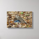 Suche nach beute kunst Raptor