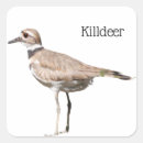 Recherche de tueur autocollants Faune