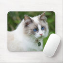 Recherche de beautiful tapis souris Cat