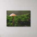 Suche nach pilz leinwandbilder Herbst