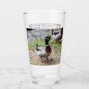 Suche nach enten bierkrüge Mallard